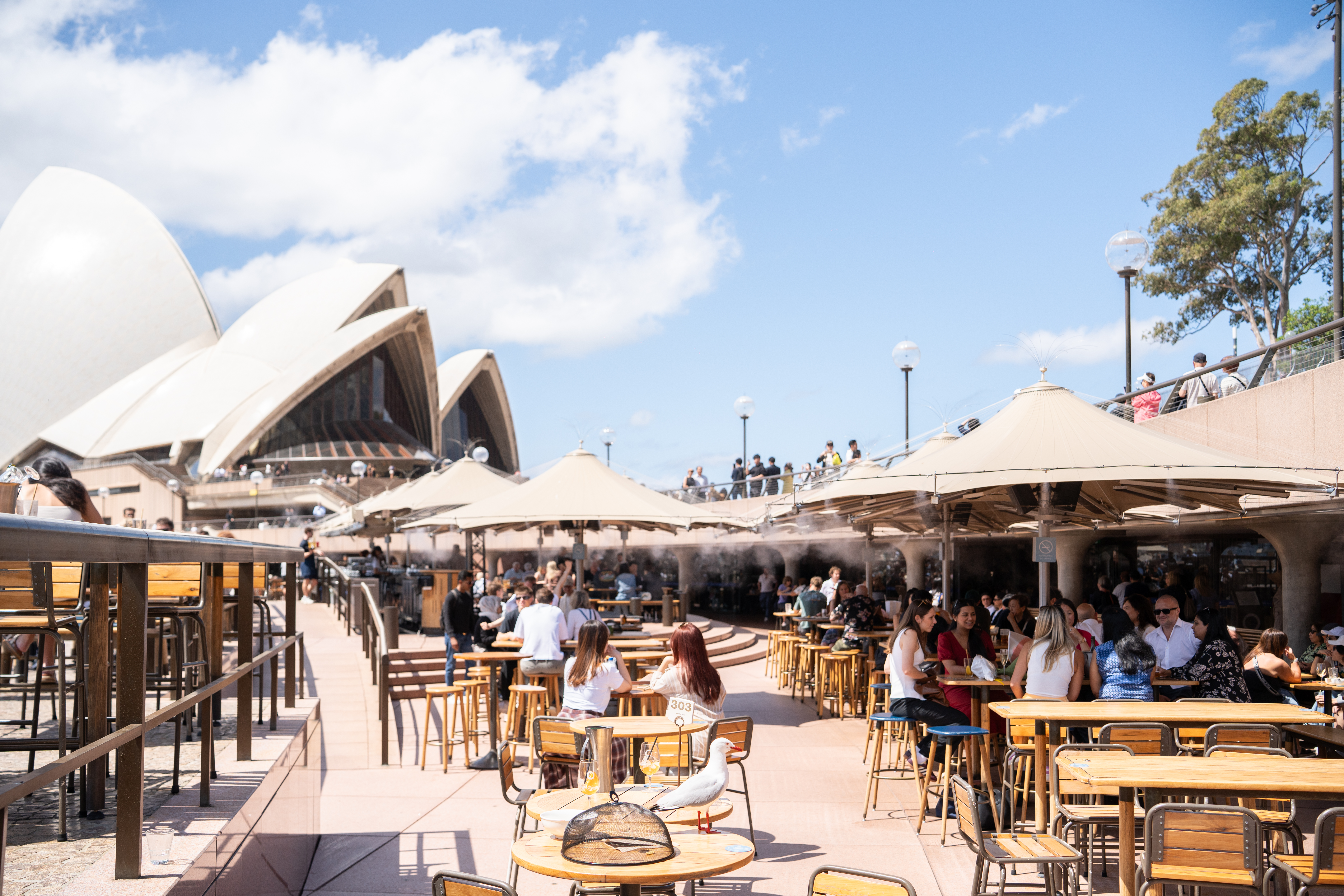Opera Bar Sydney misting with Opera House backdrop